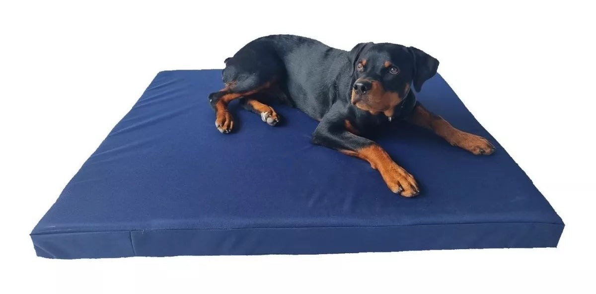 Cama Para Perro Grande Impermeable Resistente 100x90x10