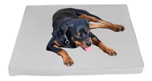 Cama Para Perro Grande Impermeable Resistente 100x90x10